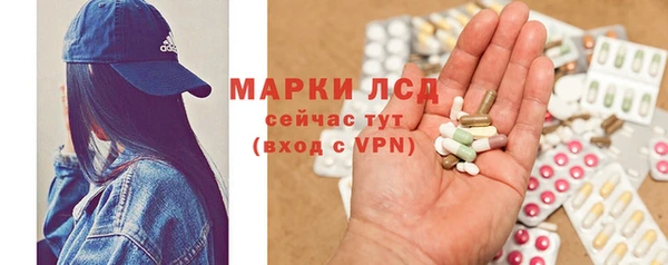 винт Алзамай